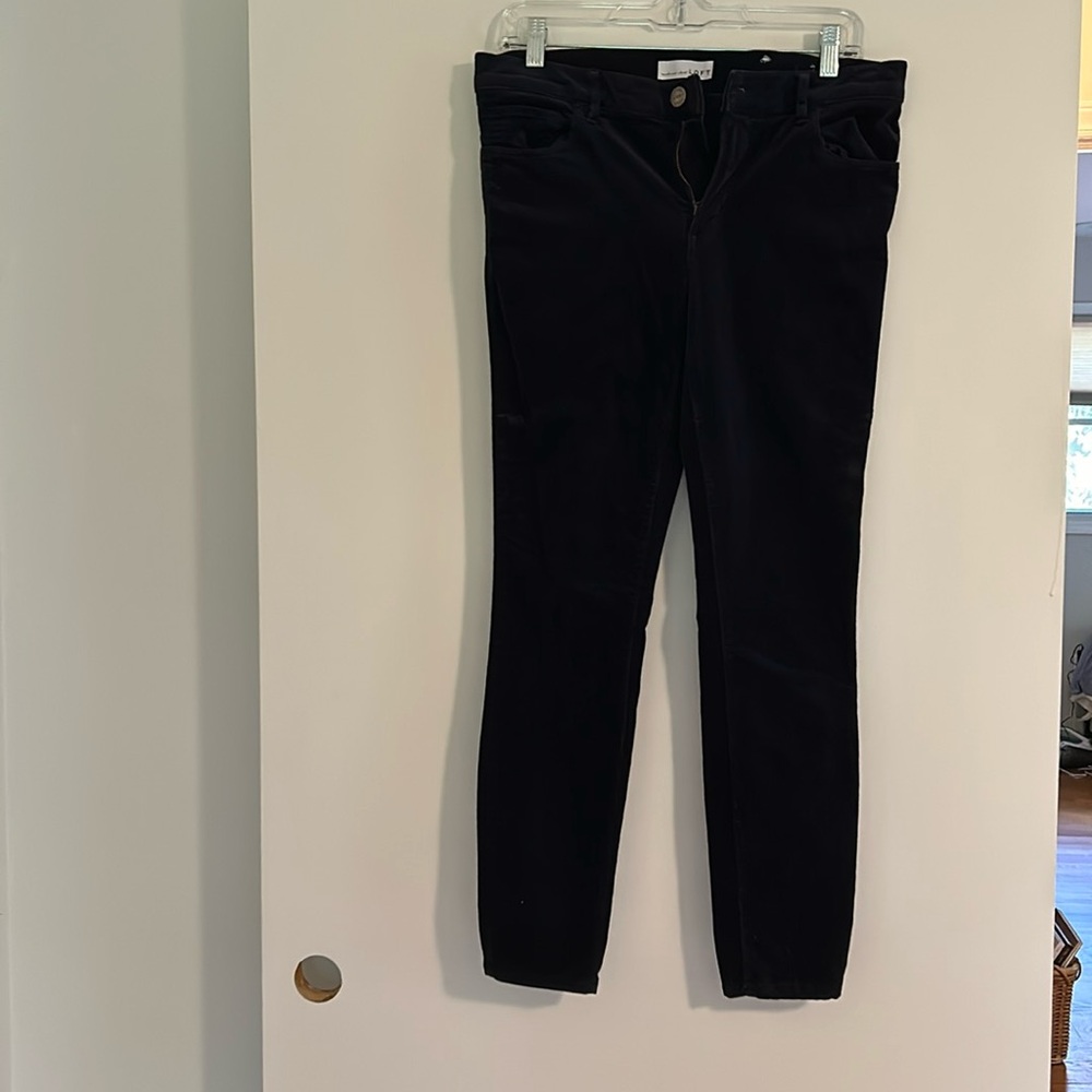 Loft velvet black pants